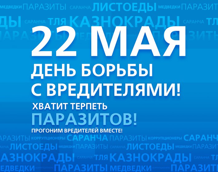 Всероссийский день бассейновой индустрии 22 мая картинки