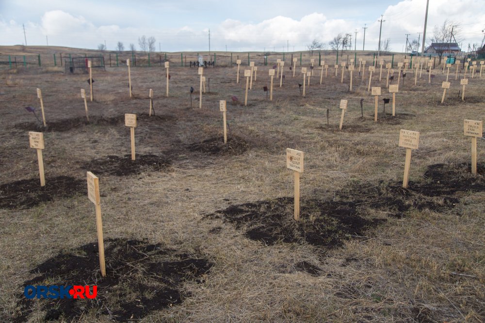 Кладбище первомайское орск карта