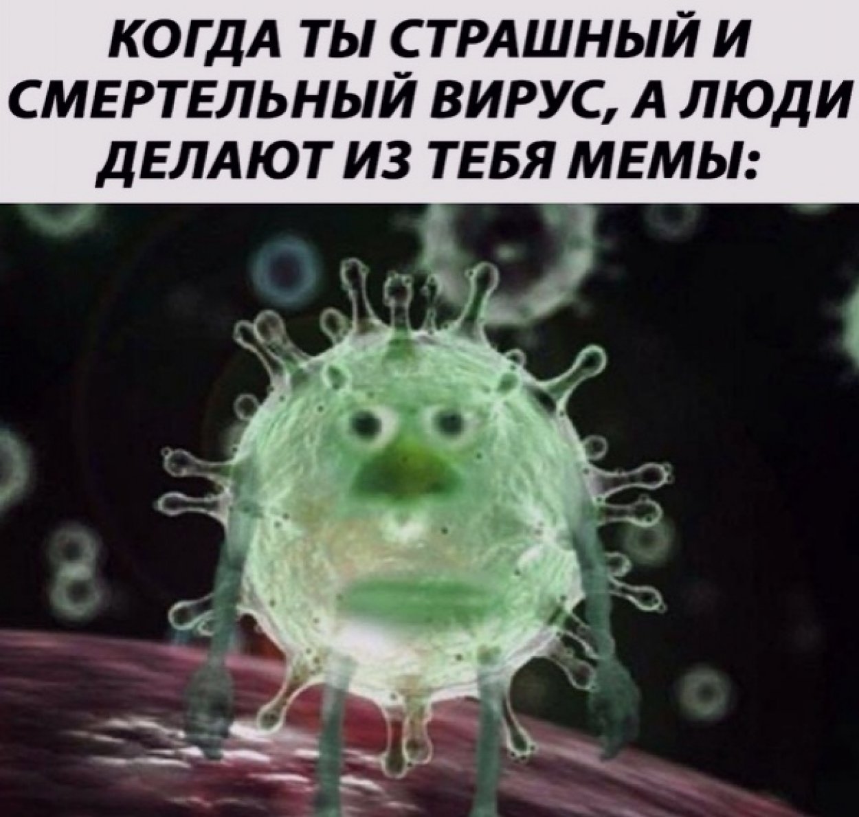 Мемы про вирусы