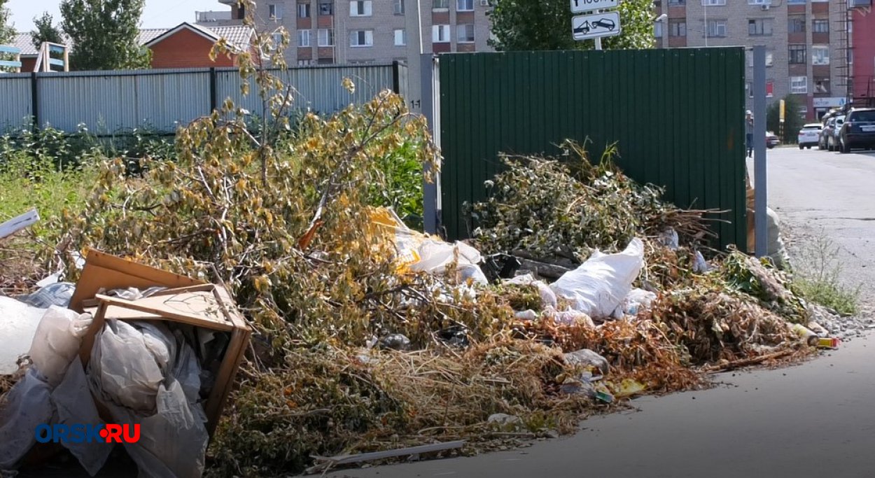 Орчане за свои деньги наняли «КамАЗ», чтобы вывезти помойку у дома - Орск:  Orsk.ru