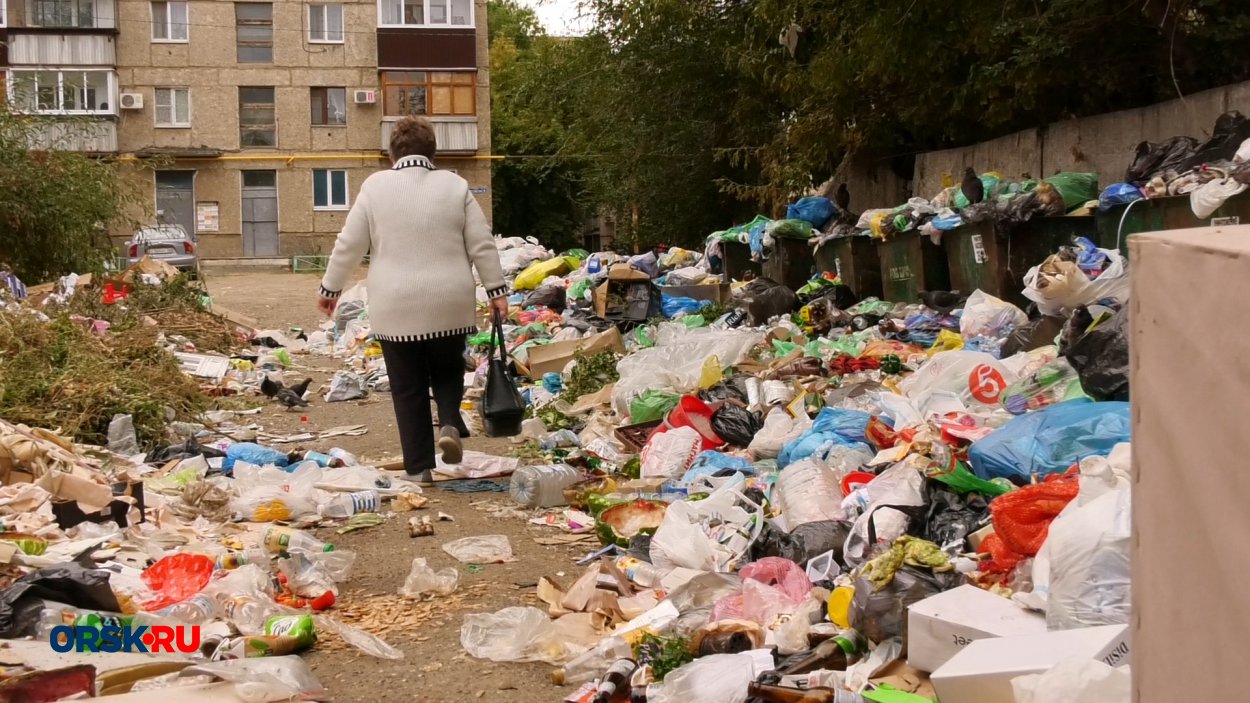 В Орске есть мусорная площадка, которой брезгуют даже бомжи: такая вонь для  них — это слишком - Орск: Orsk.ru