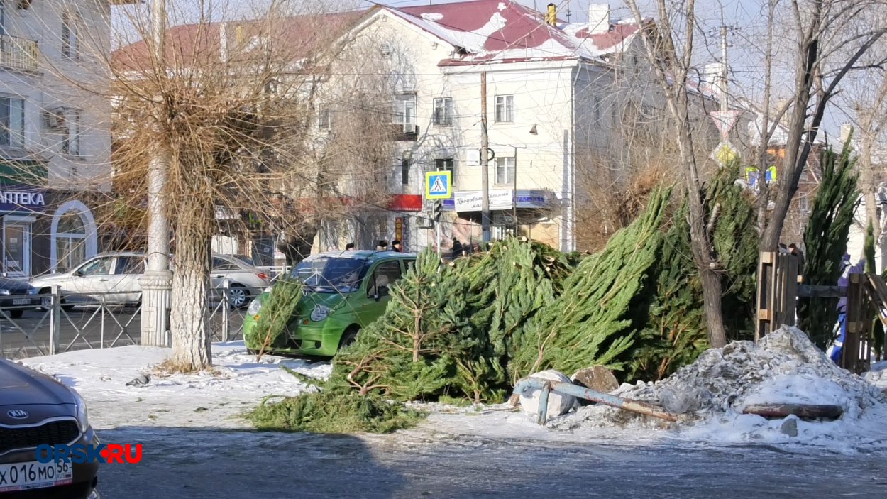 В Орске незаконно устроили ёлочный базар - Орск: Orsk.ru