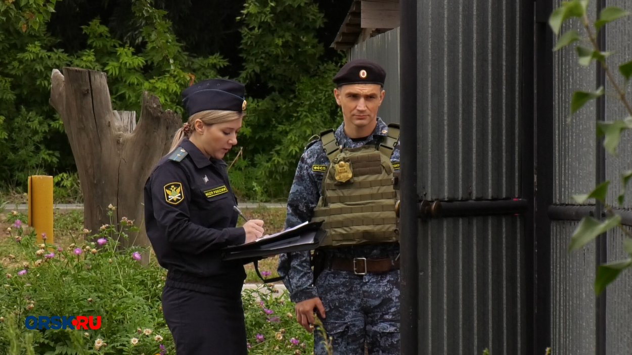 Это не шутки!»: в Орске судебные приставы устроили рейд по должникам,  которые не платят алименты - Орск: Orsk.ru