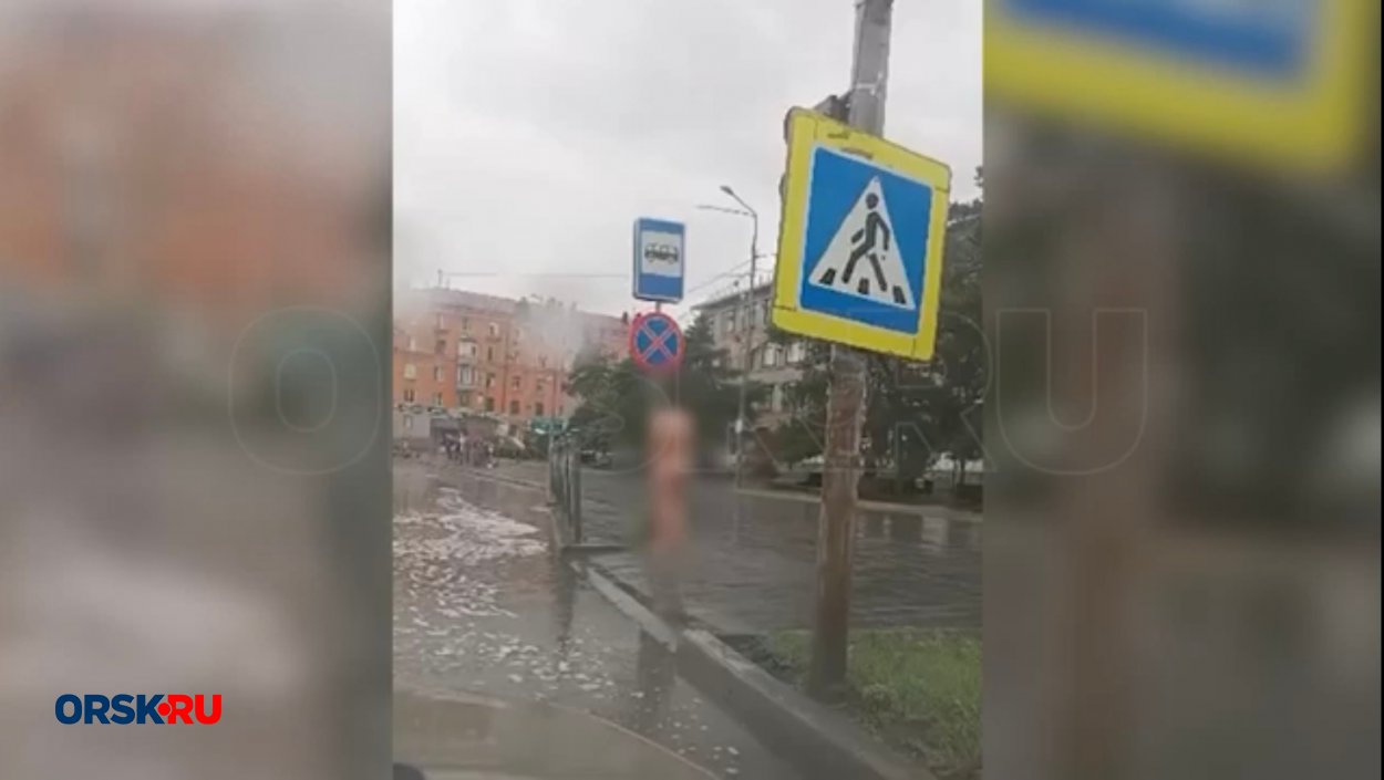 Голый пассажир в вагоне московской электрички попал на видео