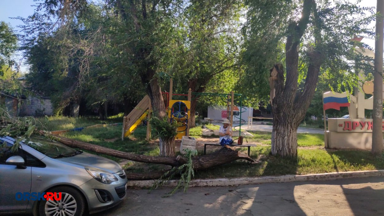 В Орске на улице Горького дерево упало на автомобиль - Орск: Orsk.ru