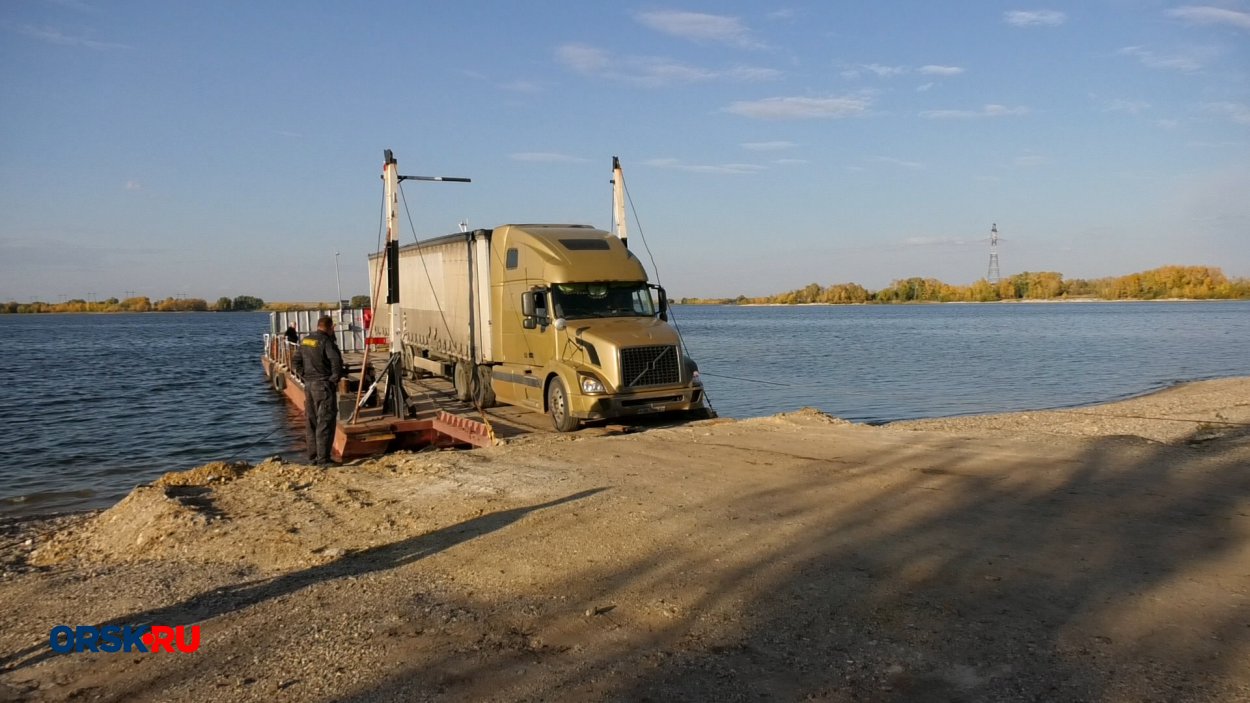 3 400 особей толстолобика обрели новый дом в Ириклинском водохранилище -  Орск: Orsk.ru