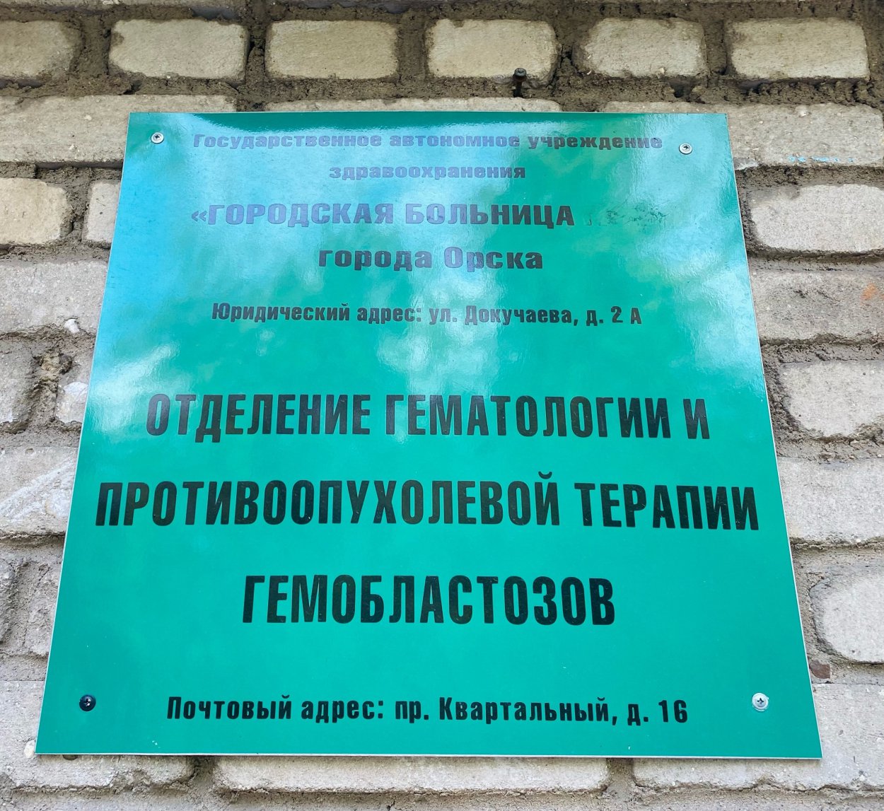 Что сказали пациенты, находящиеся на лечении в стационарах горбольницы  Орска, главному врачу. Видео - Орск: Orsk.ru