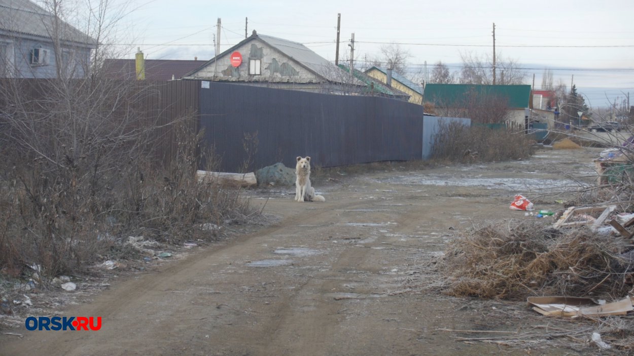 В Орске 10 лет не могут решить проблемы улицы Пролетарской - Орск: Orsk.ru