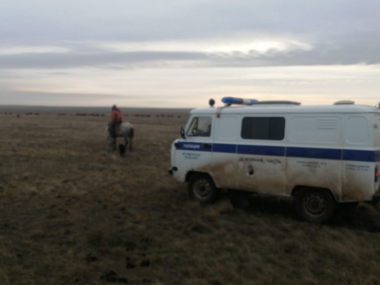 Полицейские помогли найти заблудившегося в тумане мужчину, который ехал  верхом на лошади - Орск: Orsk.ru