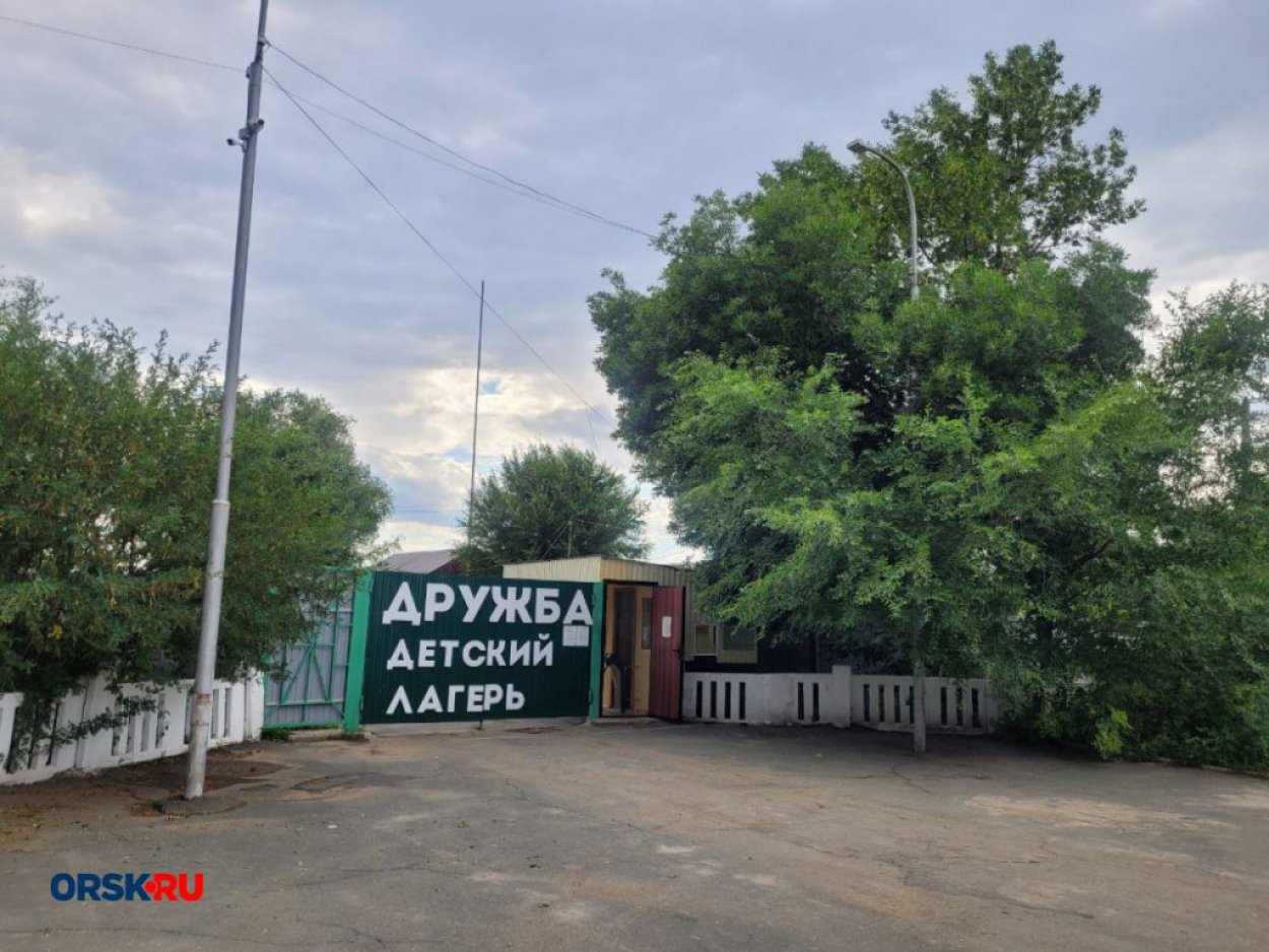 Мальчику, которого покусала собака в орском лагере «Дружба», выплатят  компенсацию - Орск: Orsk.ru