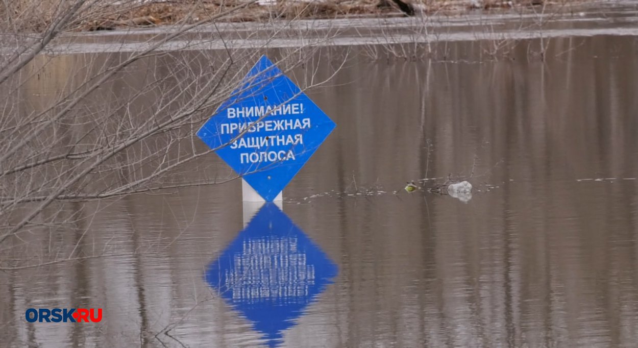 Оренбуржца, который находился в розыске, удалось вычислить по фото в  социальных сетях - Орск: Orsk.ru