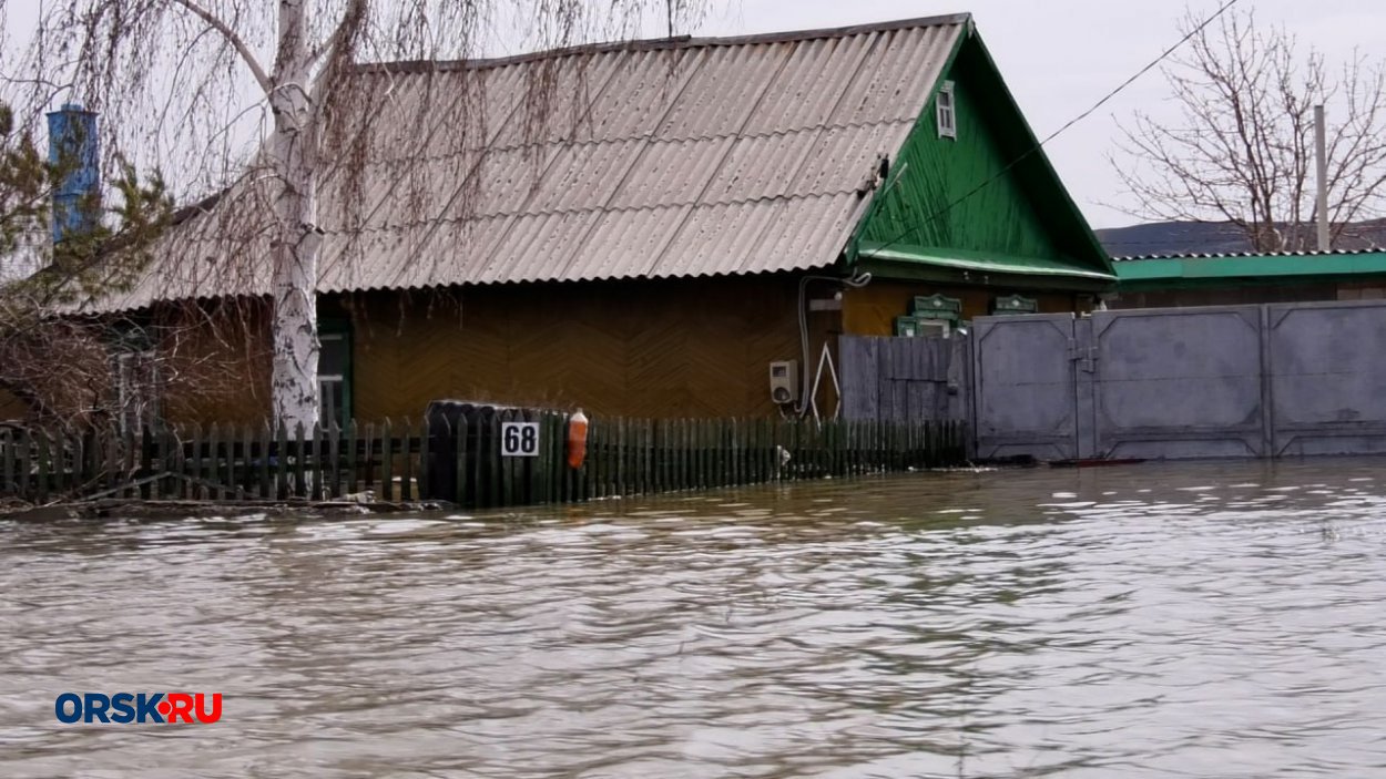 Четверо иностранцев незаконно попали в Орск, их поймали в районе Биофабрики  - Орск: Orsk.ru