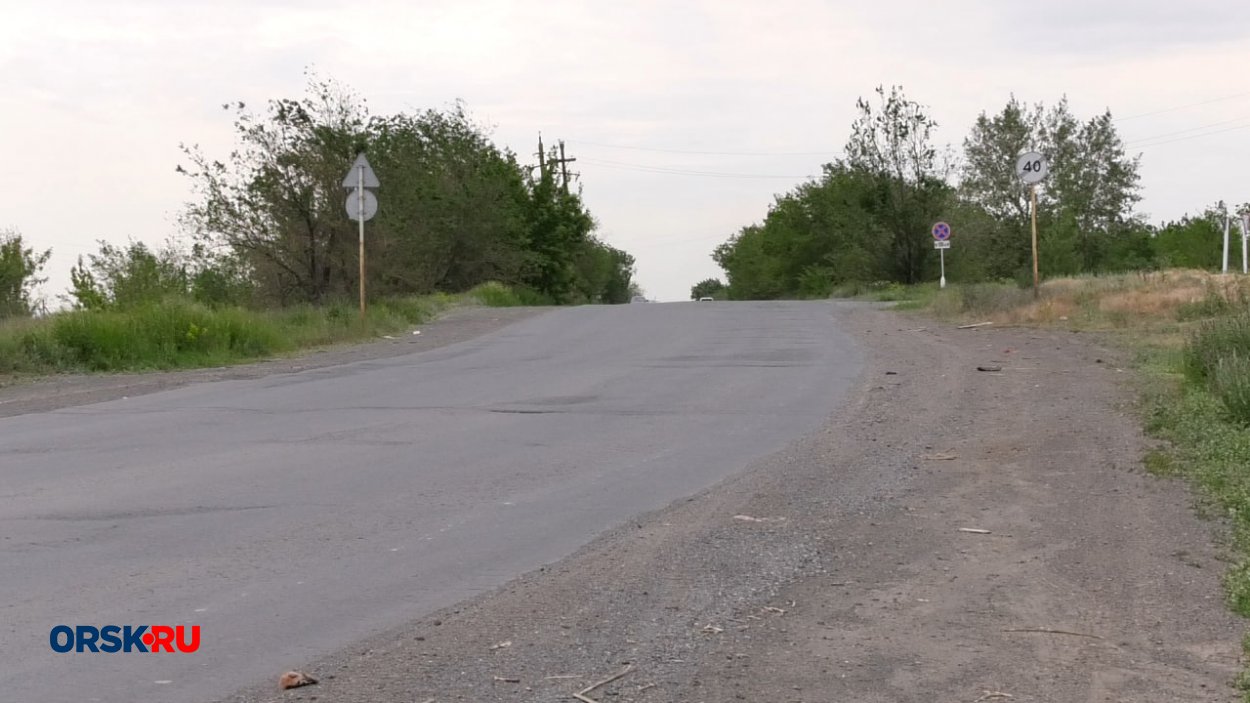 Медведей с трассы Оренбург-Самара увезли в ингушский Магас - Орск: Orsk.ru