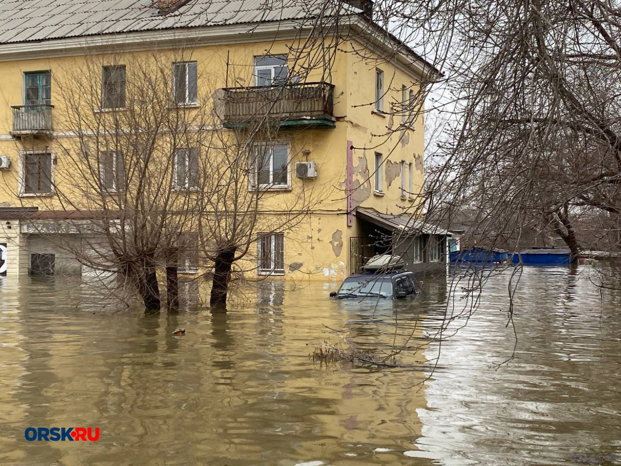 Если Киев связывает ведение переговоров с Москвой с выводом российских  войск, то этого никогда не случится, заявил Путин - Орск: Orsk.ru