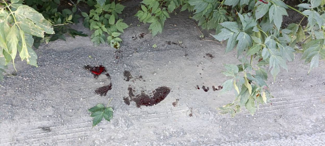 В Орске водитель ВАЗа сбила пешехода на объездной дороге