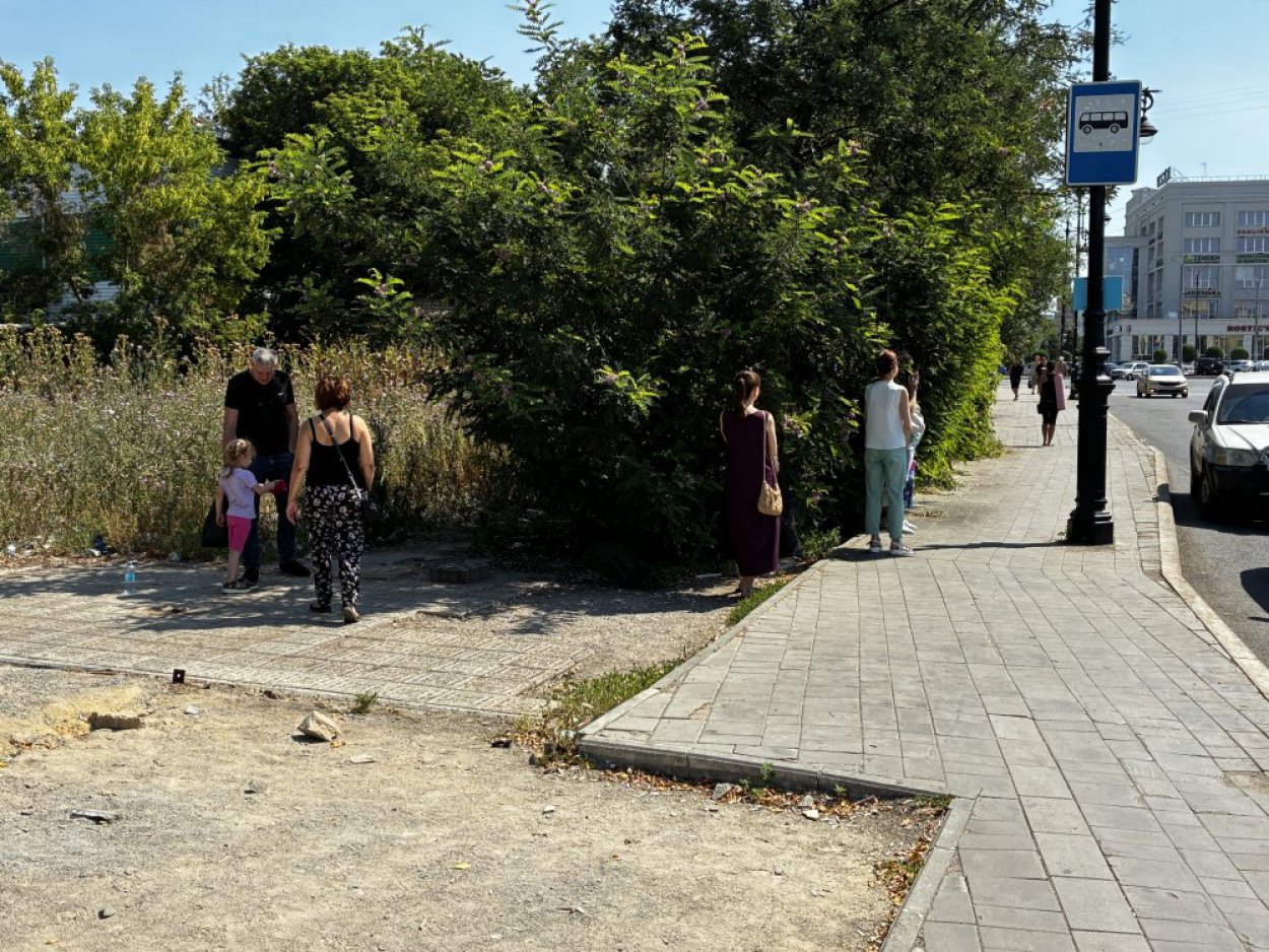 «Где сдать волосы и вылечиться от зависимости» — пассажиры изучают объявления, пока ждут автобус на солнцепёке