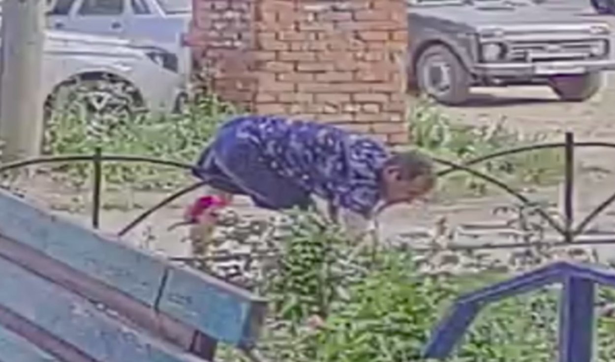 в Орске мужчина с корнем вырвал розы, которые высадили пенсионерки