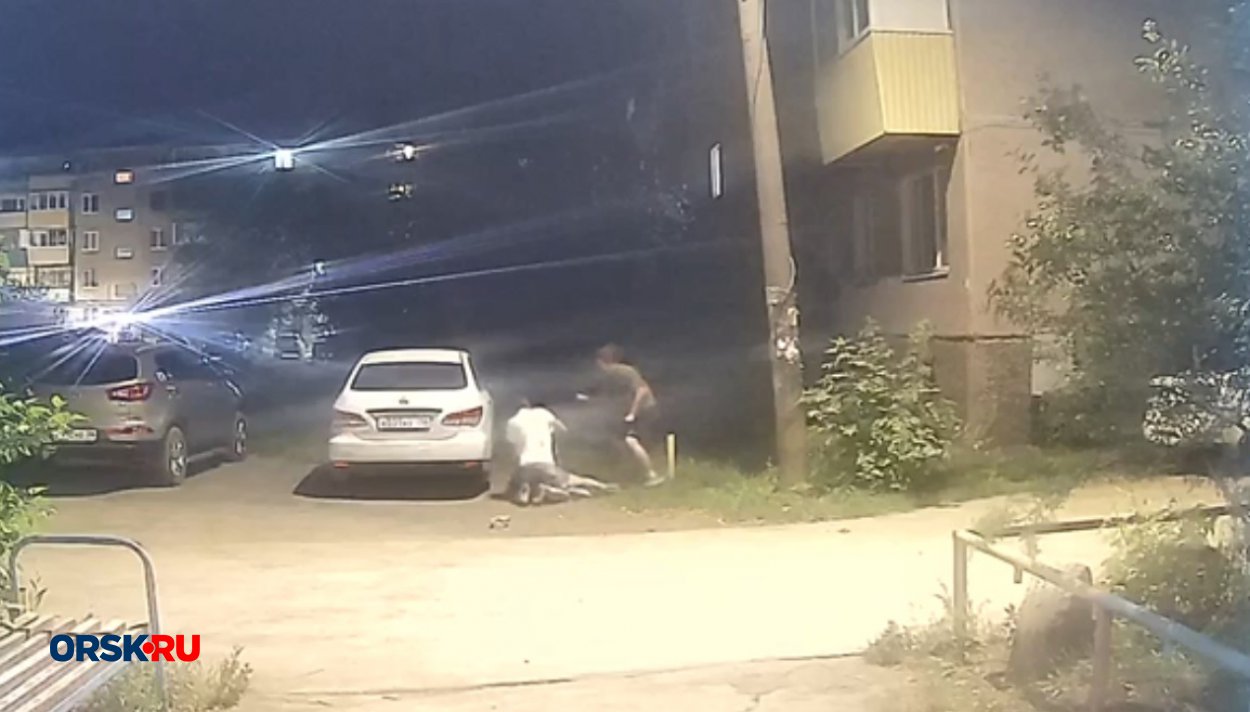 Орчан разбудила громкая драка во дворе