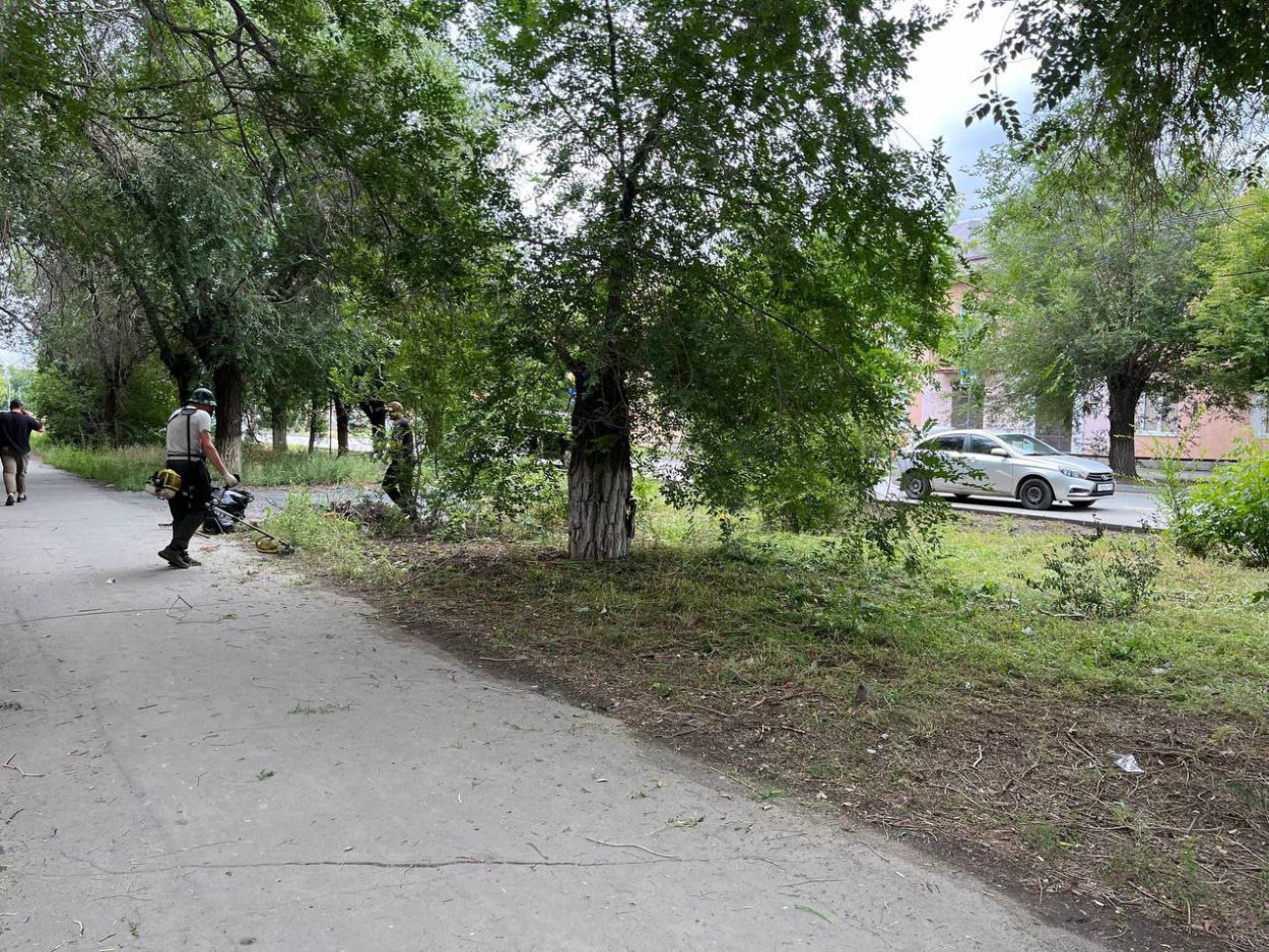 В Орске скашивают сорняки на десятках улиц