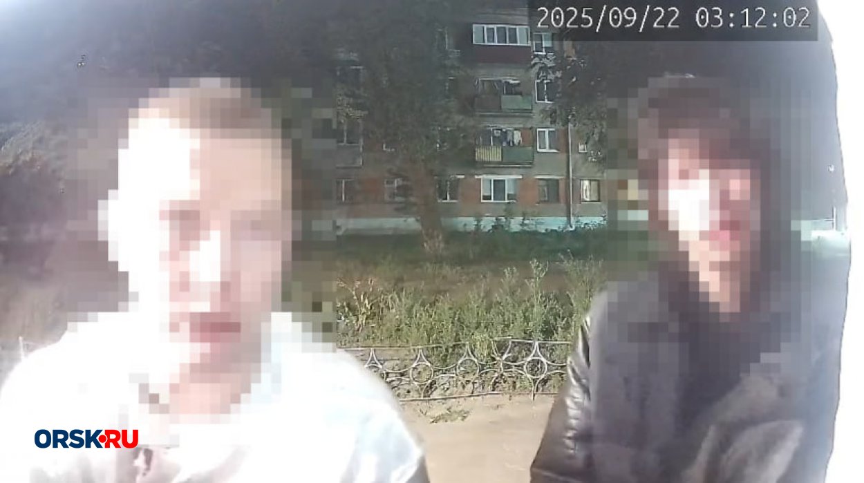 В Орске молодые «силачи» жестоко избили мужчину во дворе дома по проспекту Ленина. Скриншот с камеры домофона