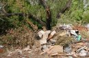 Сгоревшие ветки и деревья. Фото: ORSK.RU