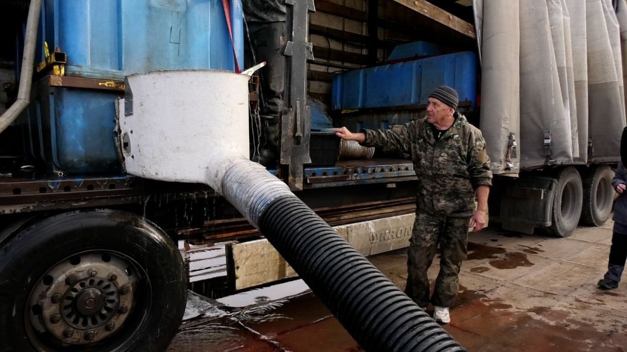 В Ириклинское водохранилище выпустили более 3000 мальков