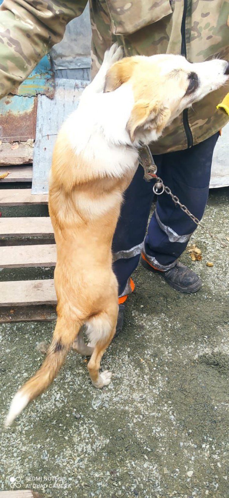 Фото: пользователь ORSK.RU