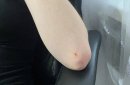 Фото предоставлено Евгенией Цвиренко