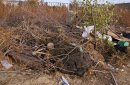 Свалка в поселке Мясокомбинат в Орске. Фото: ORSK.RU