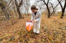 Городские соревнования по спортивному ориентированию. Фото: МАУДО «ЦДЮТур и Э г. Орска»