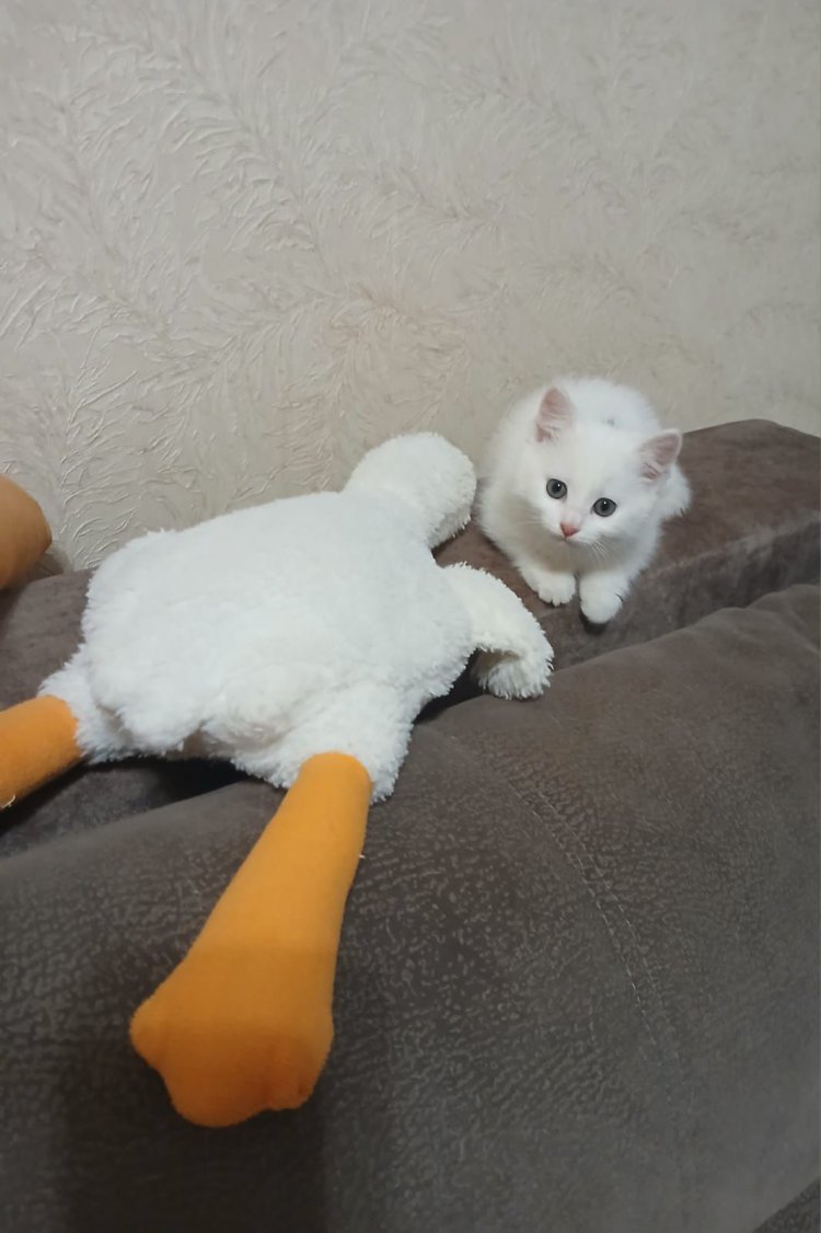 Фото: пользователь ORSK.RU