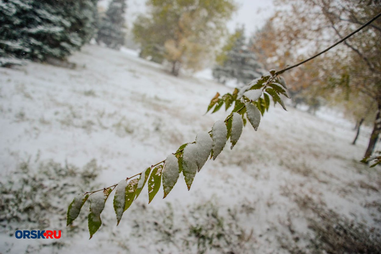 В этот день девицы просили Бога послать им хороших мужей В этот день девицы просили Бога послать им хороших мужей