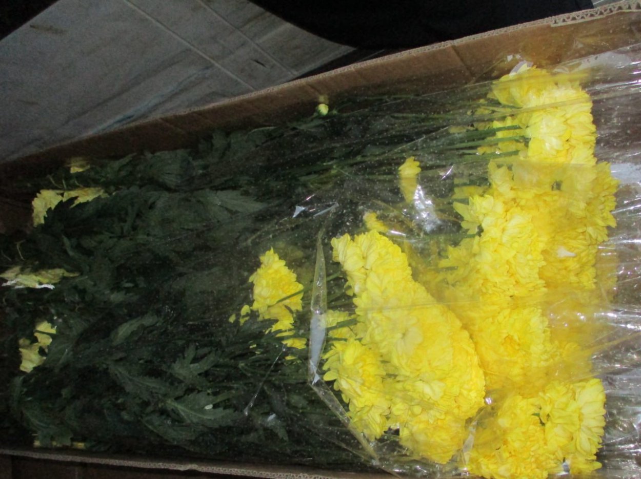 Фото: Россельхознадзор по Оренбургской области 