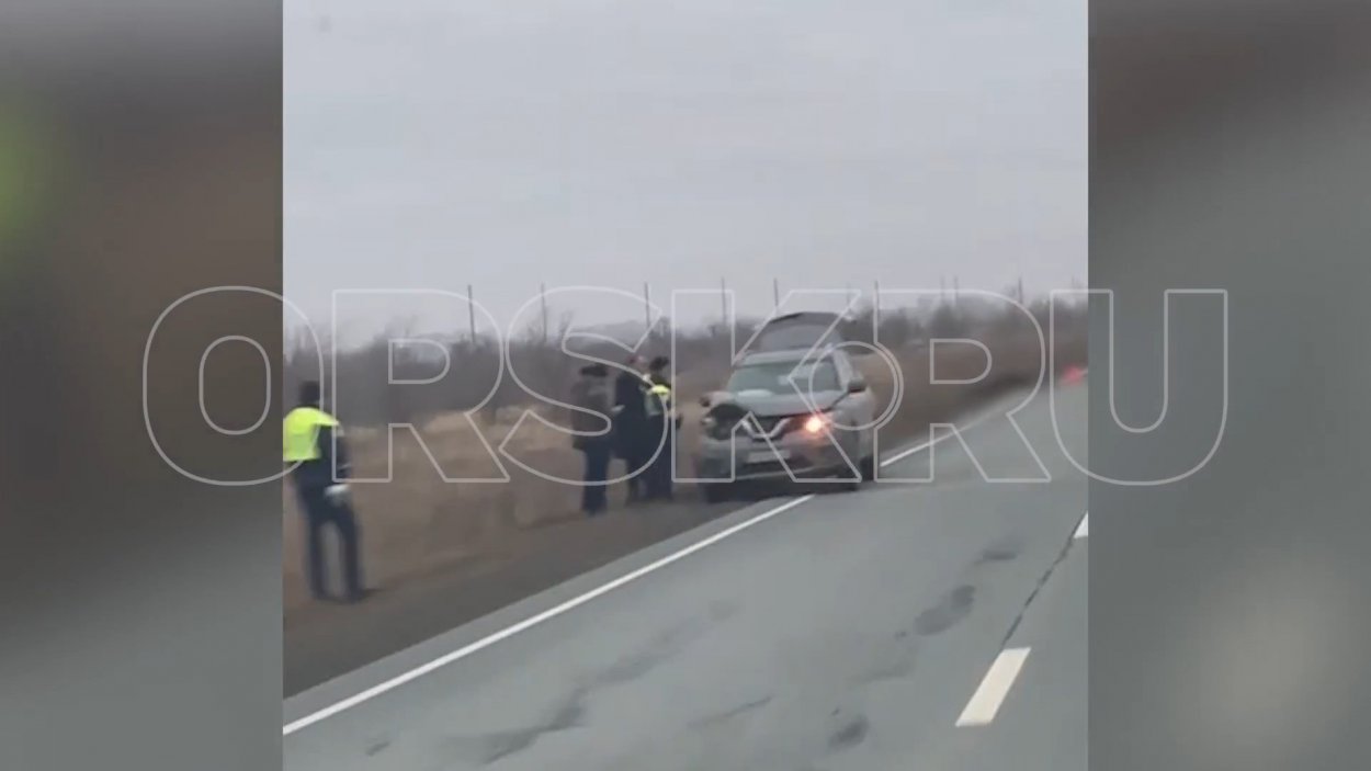 Сотрудники ГАИ выясняют детали ДТП с погибшим лосем Сотрудники ГАИ выясняют детали ДТП с погибшим лосем