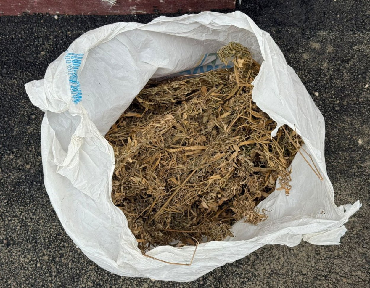 Фото: УМВД по Оренбургской области 