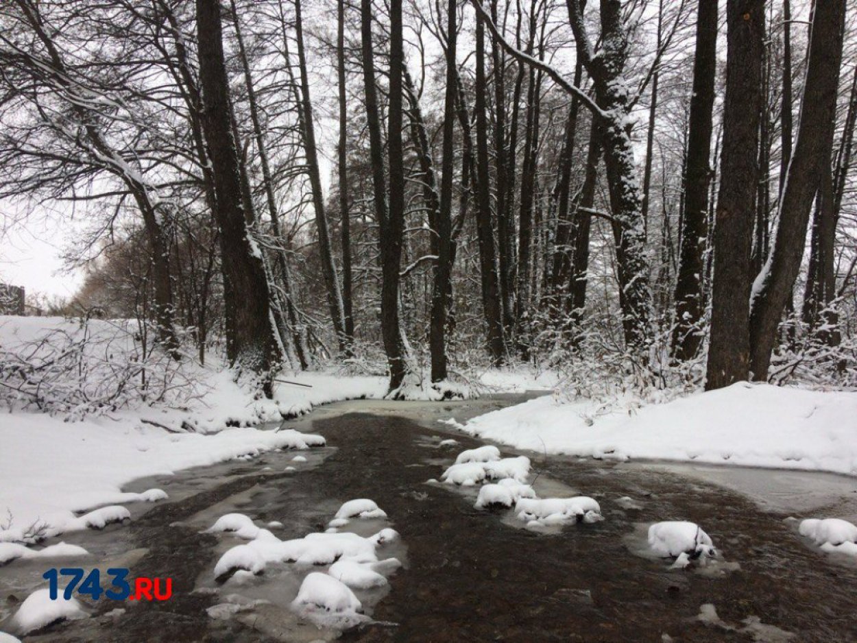 ​По этому дню судили о том, какой будет зима