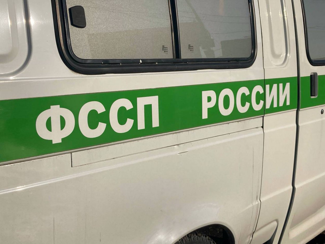 Фото: ГУФССП России по Оренбургской области Фото: ГУФССП России по Оренбургской области