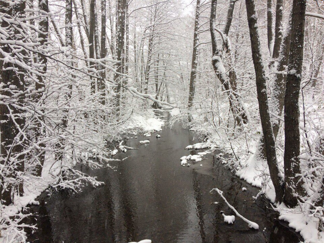 ​В этот день люди старались сидеть дома