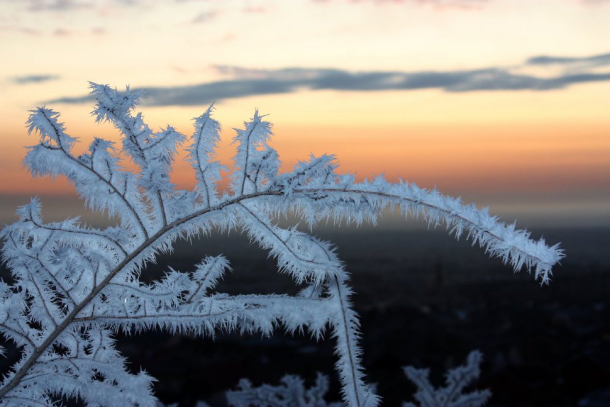«Наступление зимы затягивается»: первый снег может выпасть в конце недели, но его будет мало