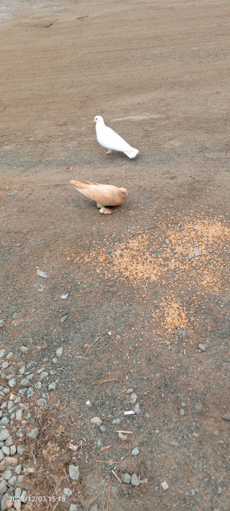 Фото: пользователь ORSK.RU