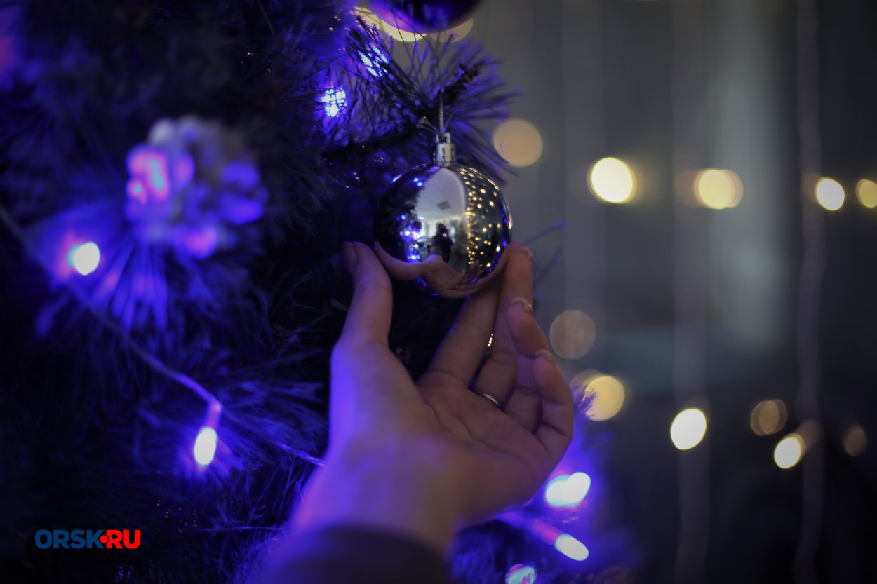 Фото: ORSK.RU Фото: ORSK.RU