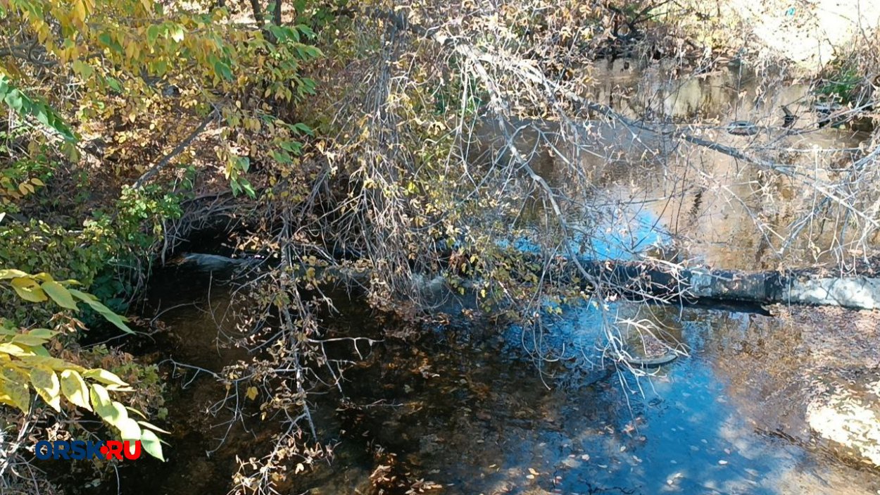 Фото: архив ORSK.RU Фото: архив ORSK.RU