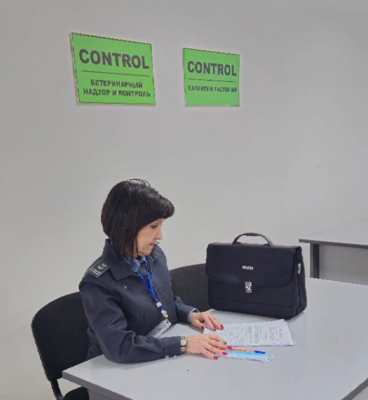 Фото: Управление Россельхознадзора по Оренбургской области Фото: Управление Россельхознадзора по Оренбургской области