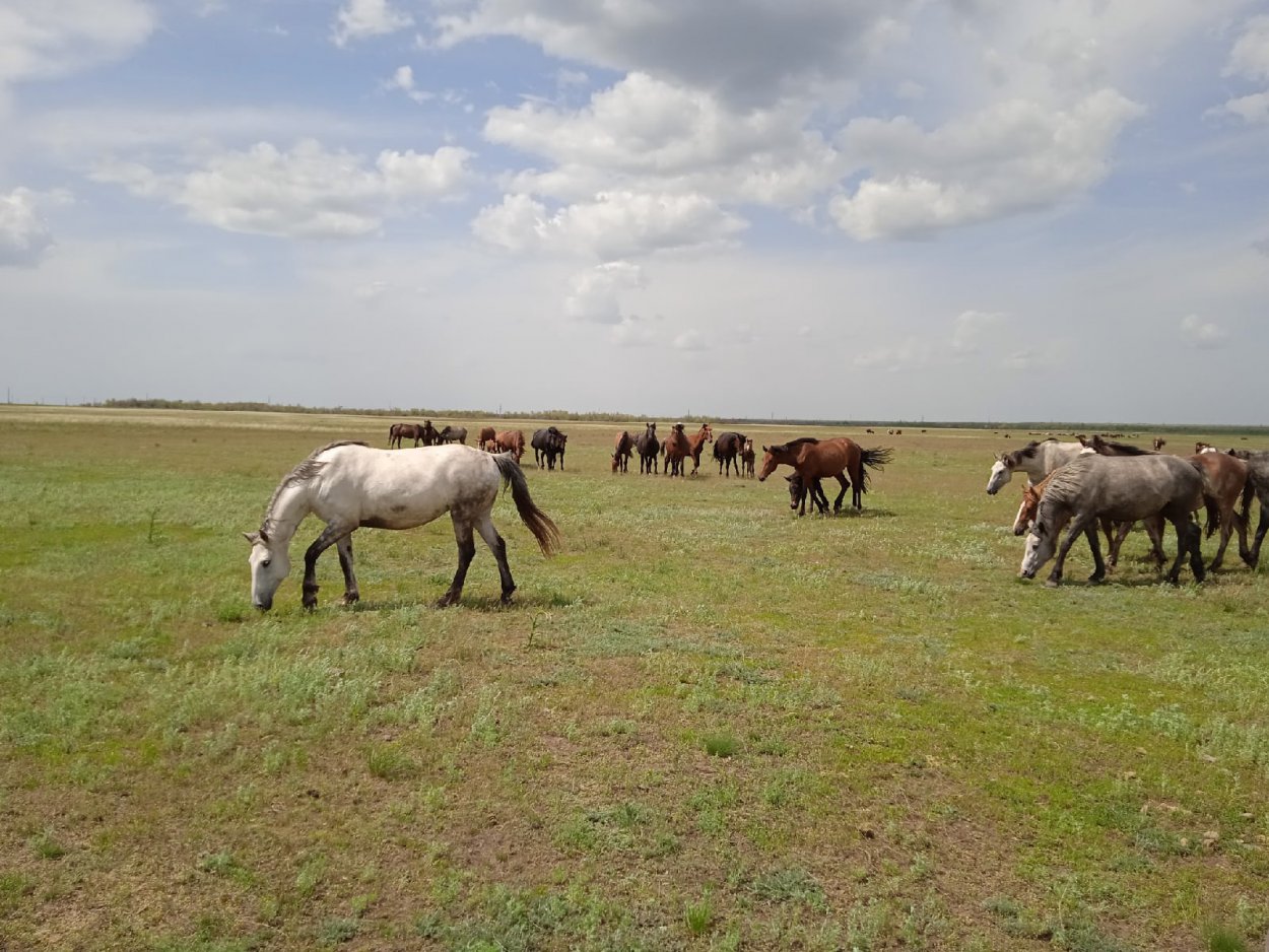 ​​​В этот день была образована Оренбургская область
