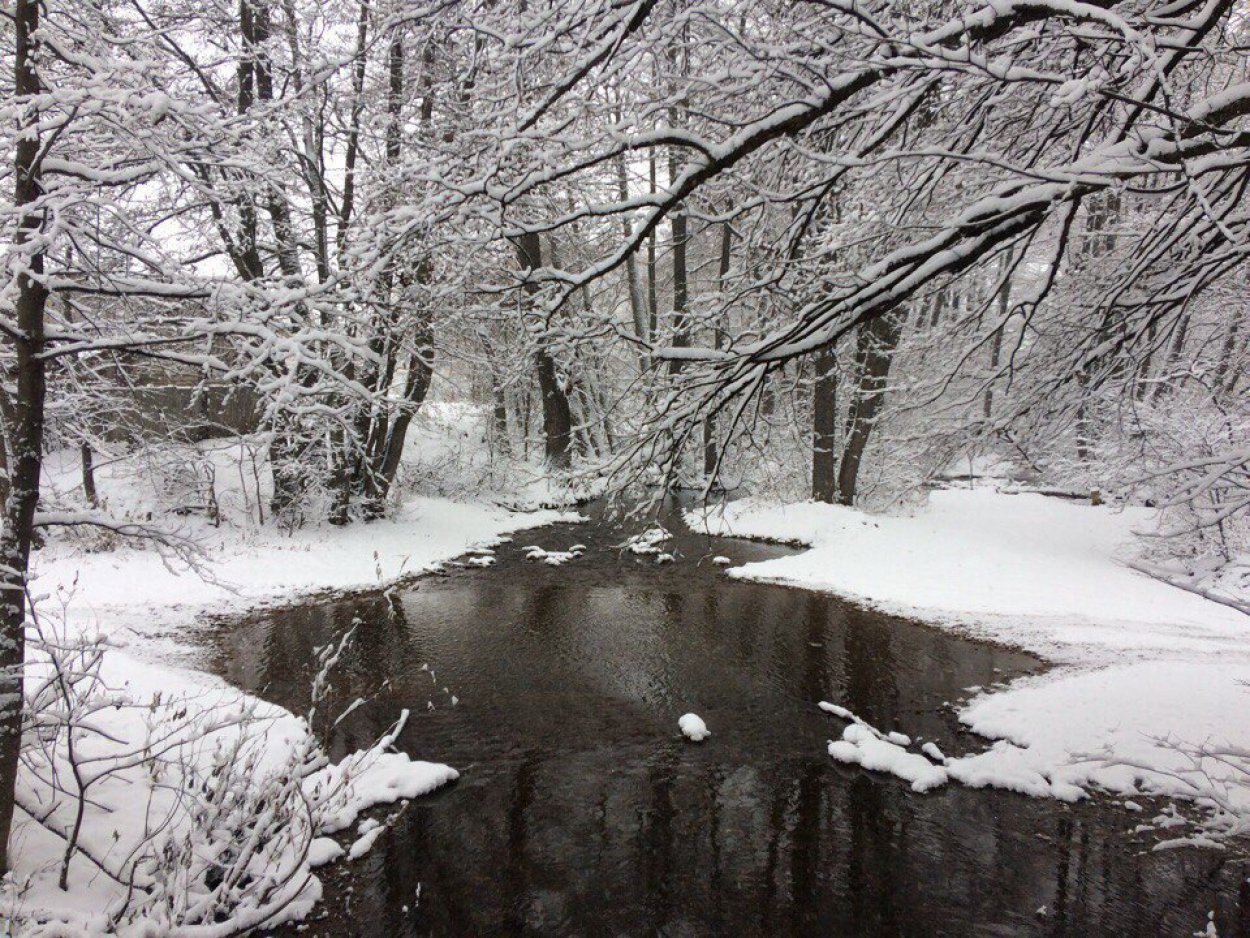 Когда в Оренбург придут зимние морозы? Прогноз погоды на середину декабря