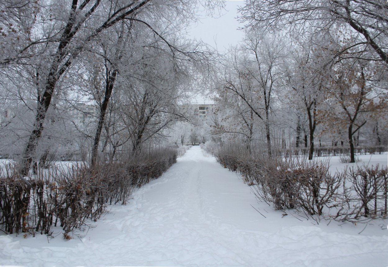 От этого дня наши предки всегда ждали чего-то особенного От этого дня наши предки всегда ждали чего-то особенного