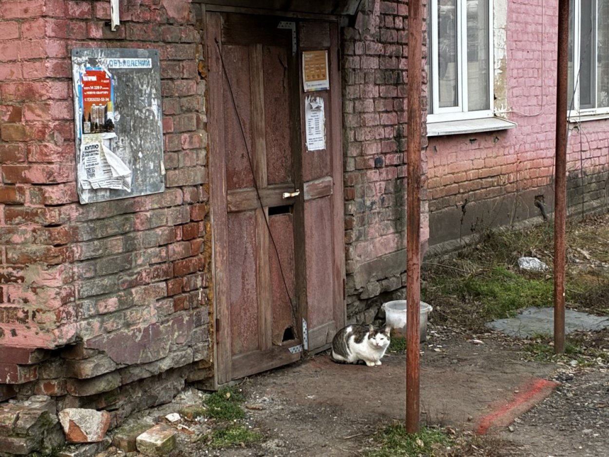 Гнилой потолок на хлипких подпорках. Как выглядят оренбургские развалины, которыми заинтересовался Бастрыкин?