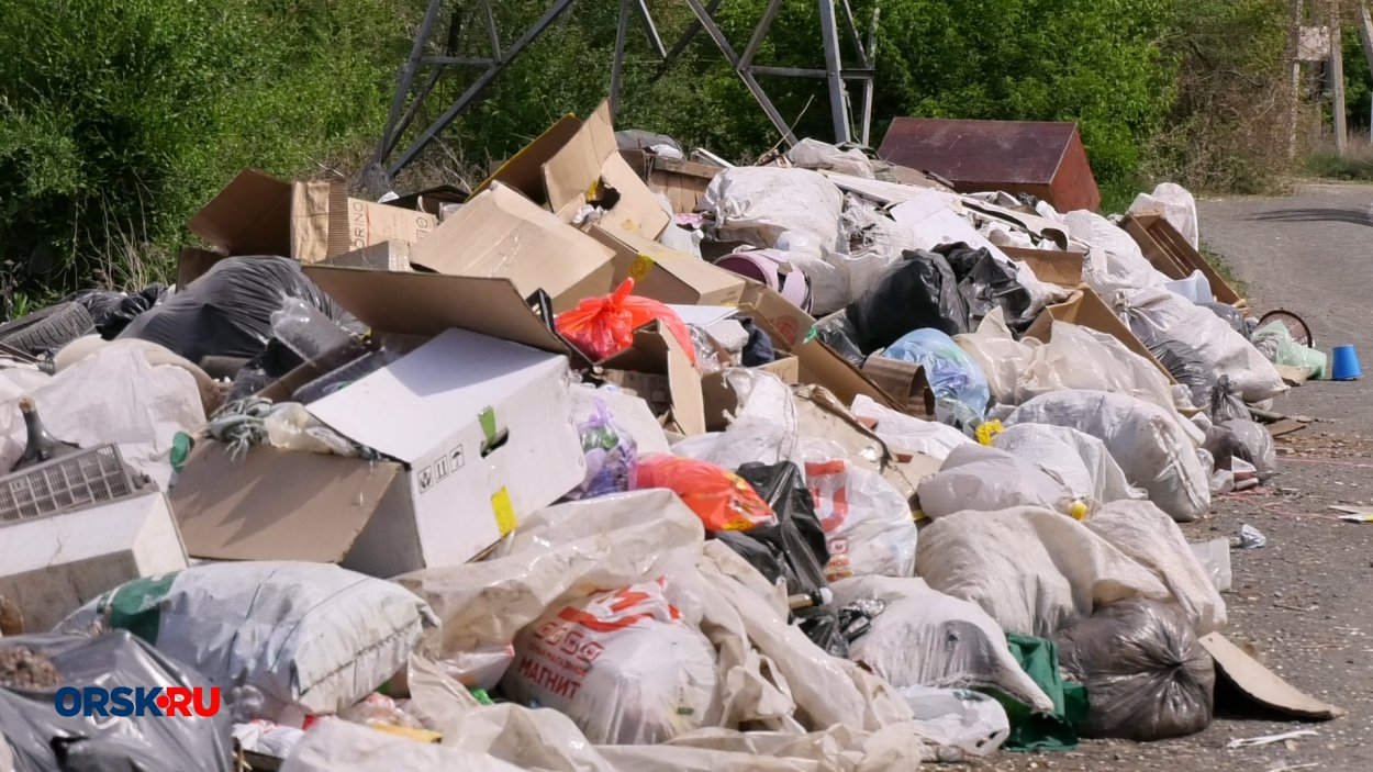 В Орске ищут подрядчика для размещения дорожного мусора на полигоне В Орске ищут подрядчика для размещения дорожного мусора на полигоне