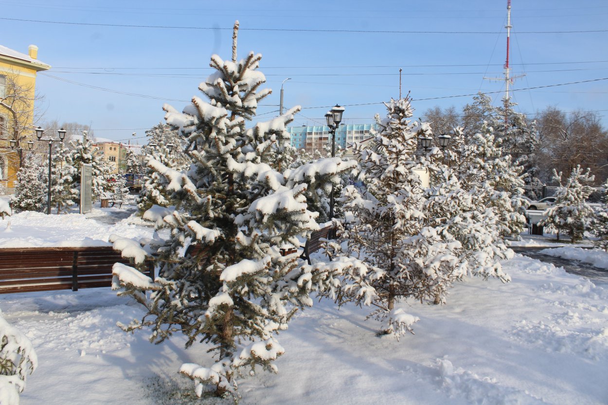 Арктическое вторжение: в субботу в Оренбурге резко похолодает