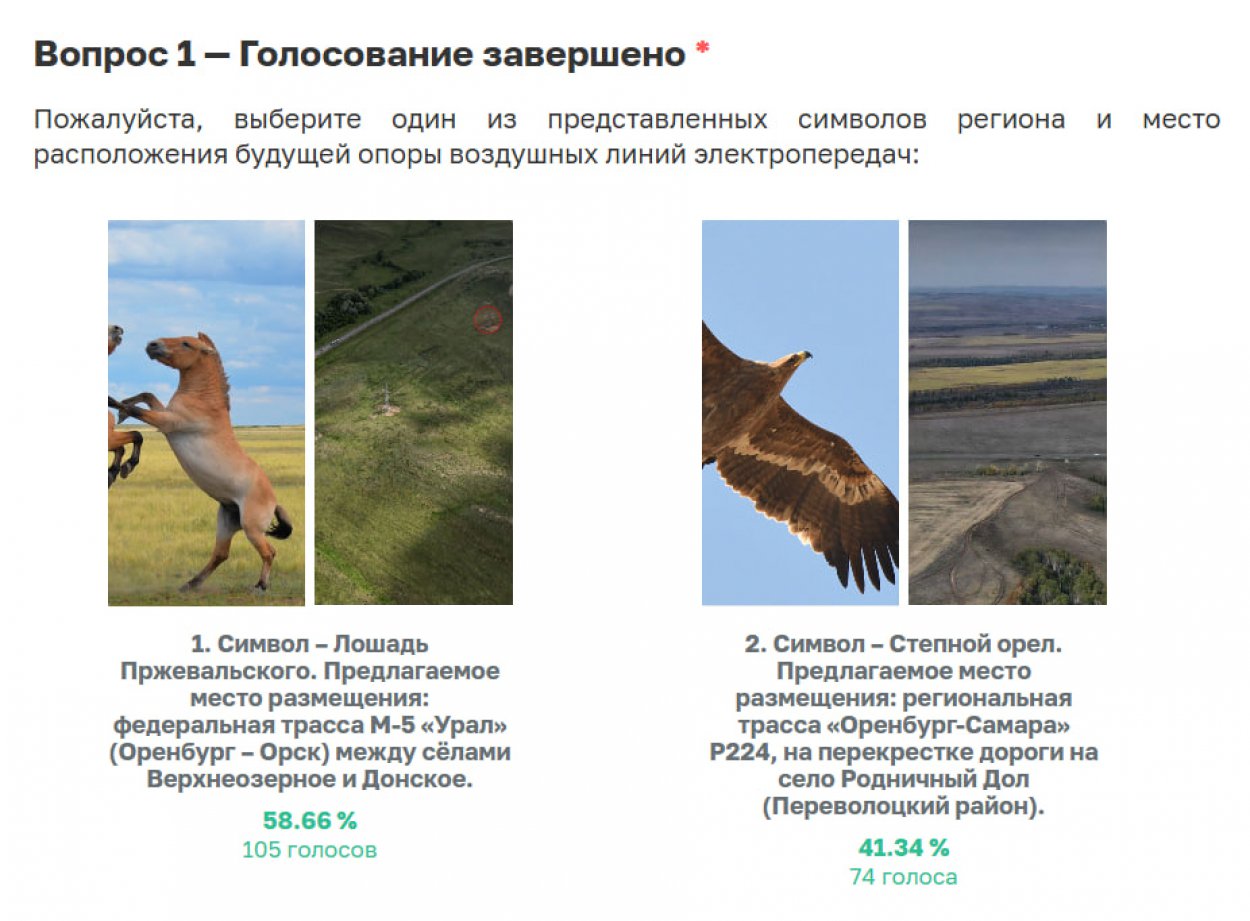 Оренбуржцы выбрали арт-объект для трассы М-5 между Оренбургом и Орском